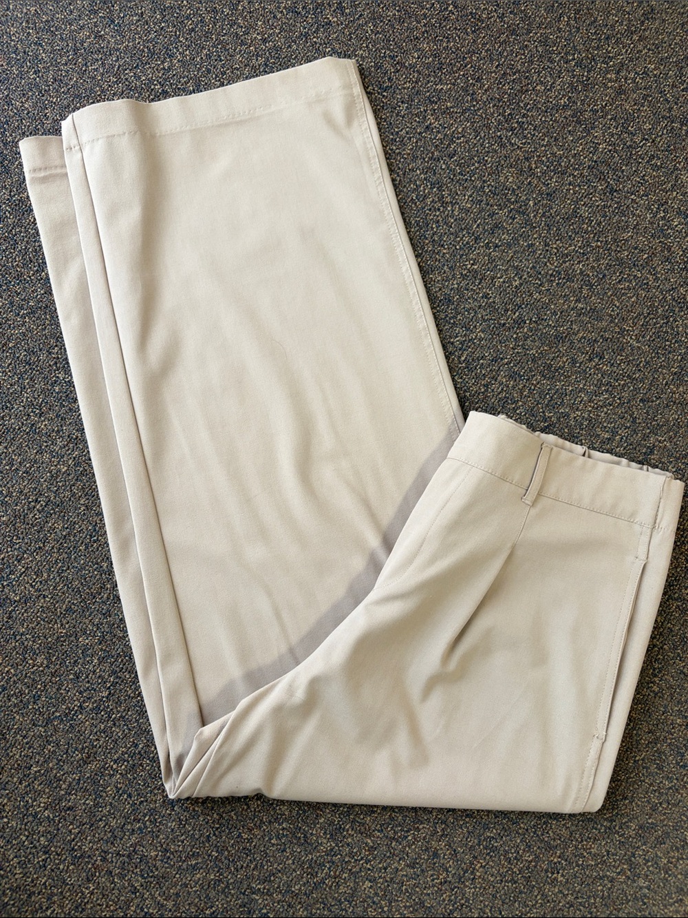 Haver & Blair High Rise, Pleated Wide Leg Pants